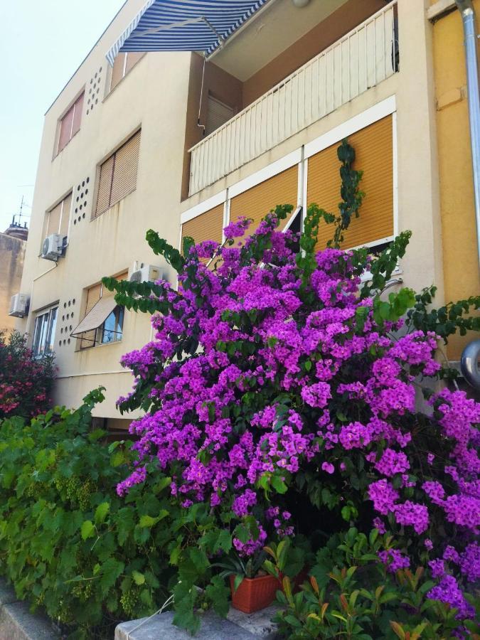 Lucac Manus Apartmán *